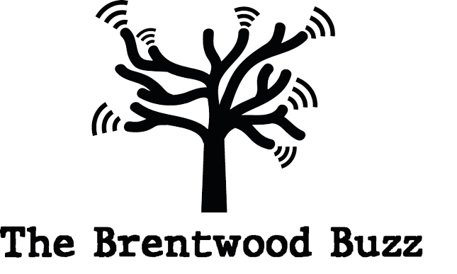 The Brentwood Buzz LOGO tree